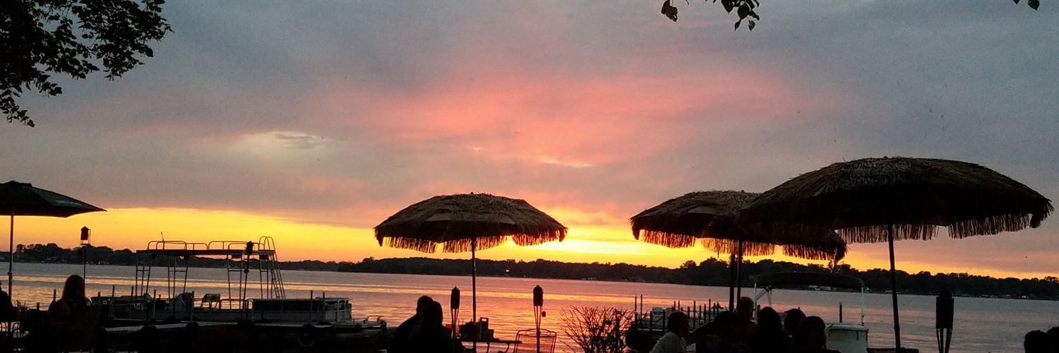 CarolPatrizi's profile banner image