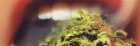 500MONSTAA's profile banner image