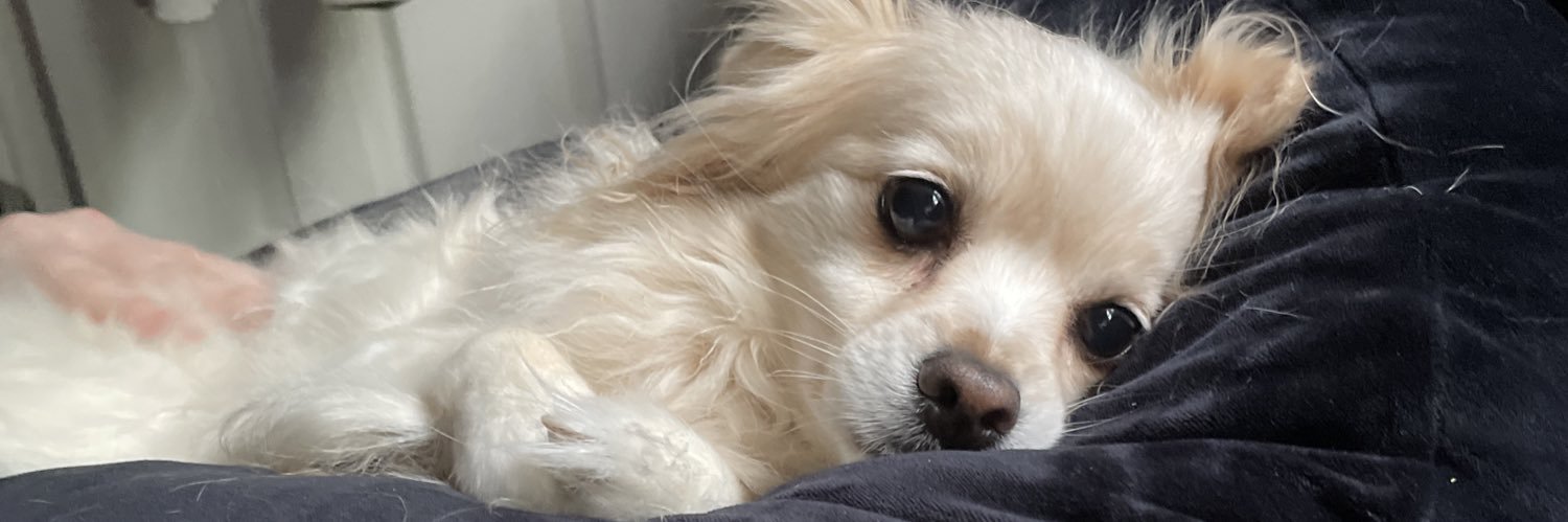 SpaceQueenKayy's profile banner image
