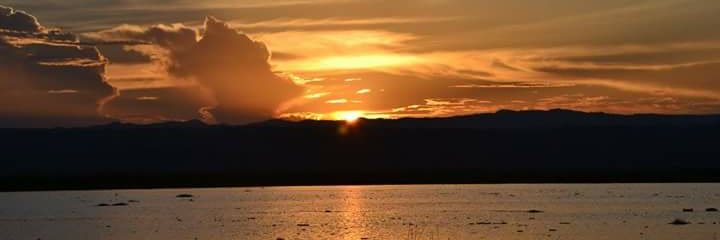 Silvya85's profile banner image