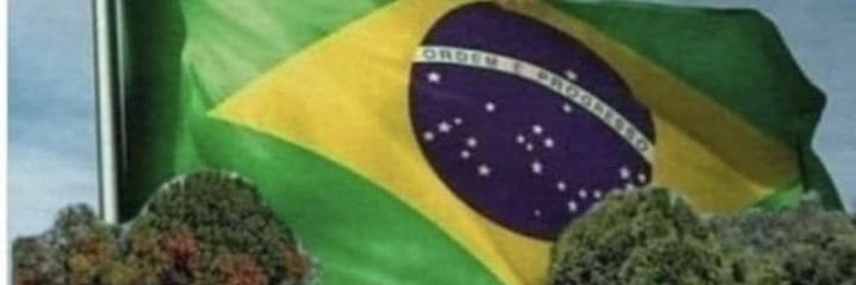 rodolfoarantes2's profile banner image