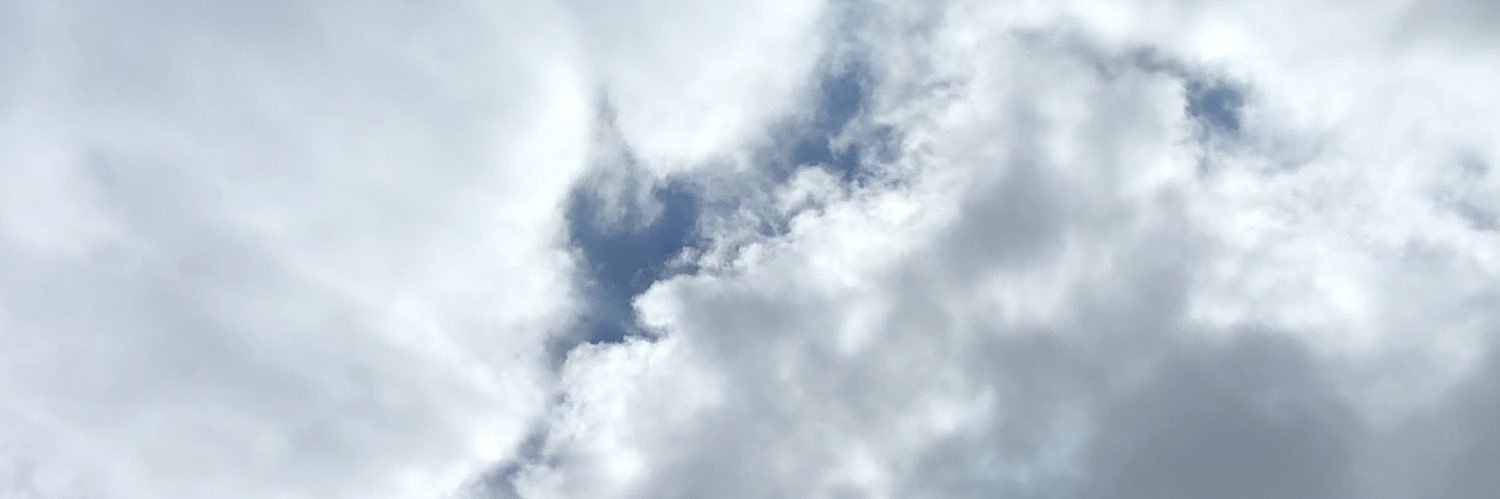 l_zinzinn's profile banner image