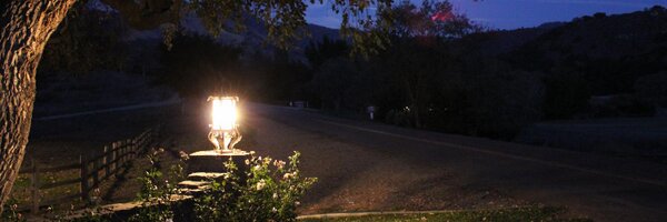 MorinenMJ Profile Banner