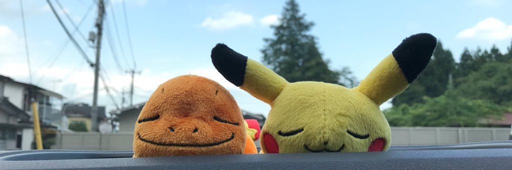 pippikapikachu's profile banner image