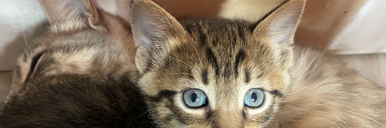 castilloo54's profile banner image