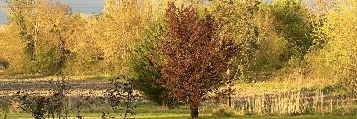 Khalil MOUBTASSIM banner