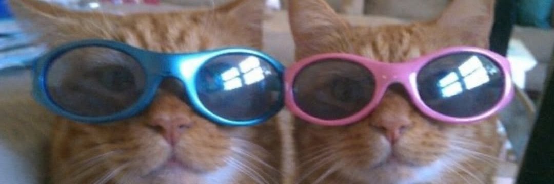 petrusxh's profile banner image