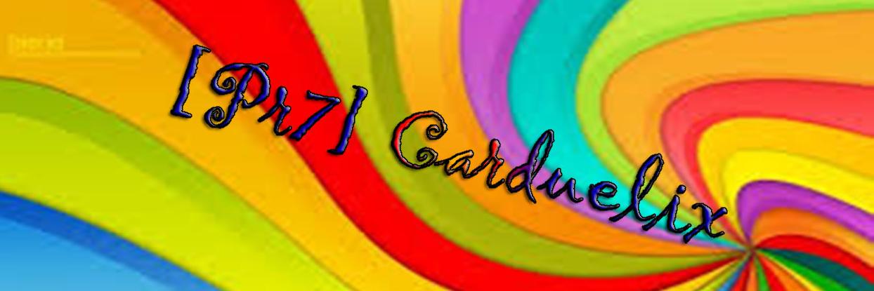CarduPR7's profile banner image