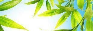 abdalcarim2's profile banner image