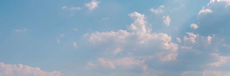 ShokZ217's profile banner image