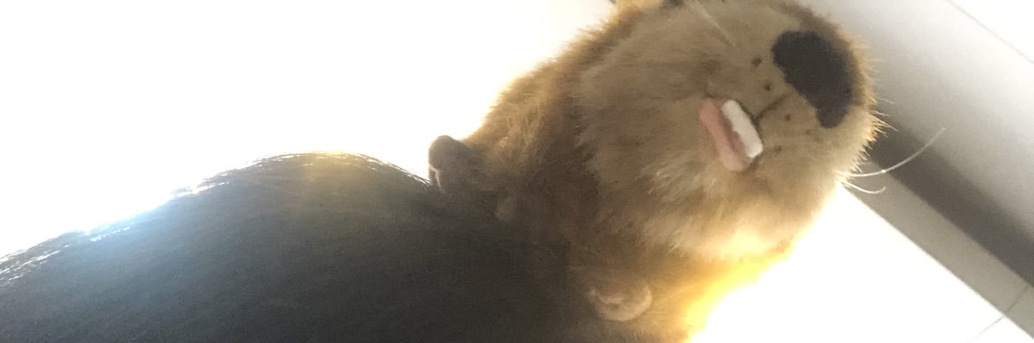 KUMI6683's profile banner image