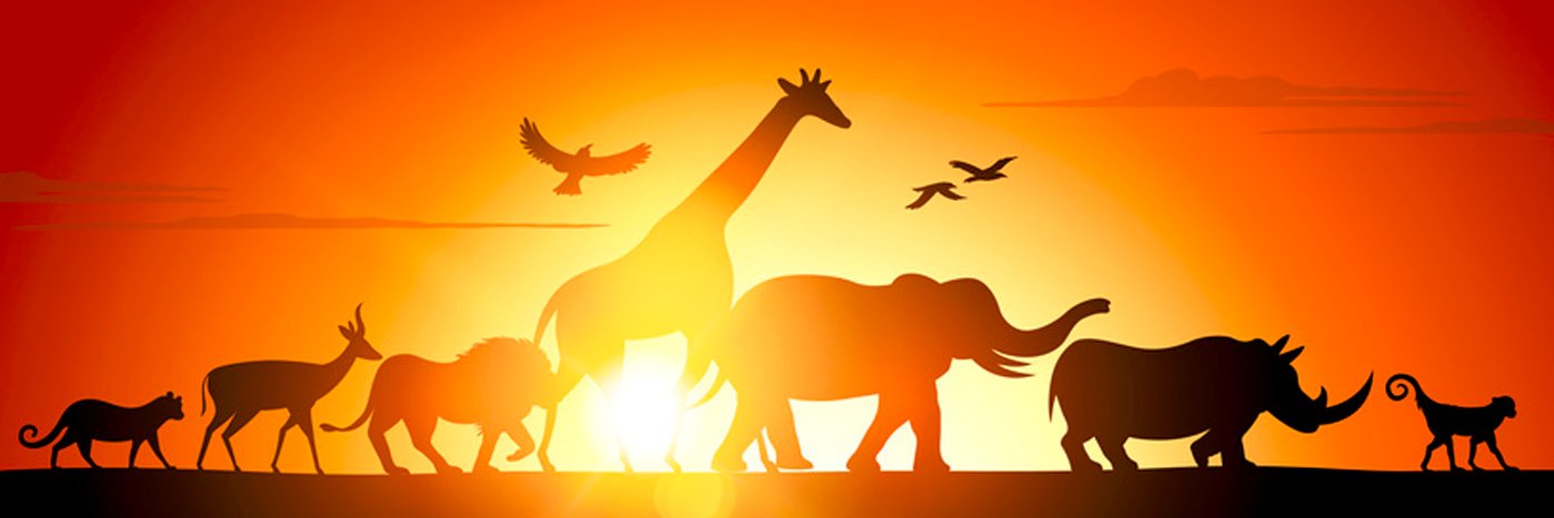 aadyaroshan's profile banner image