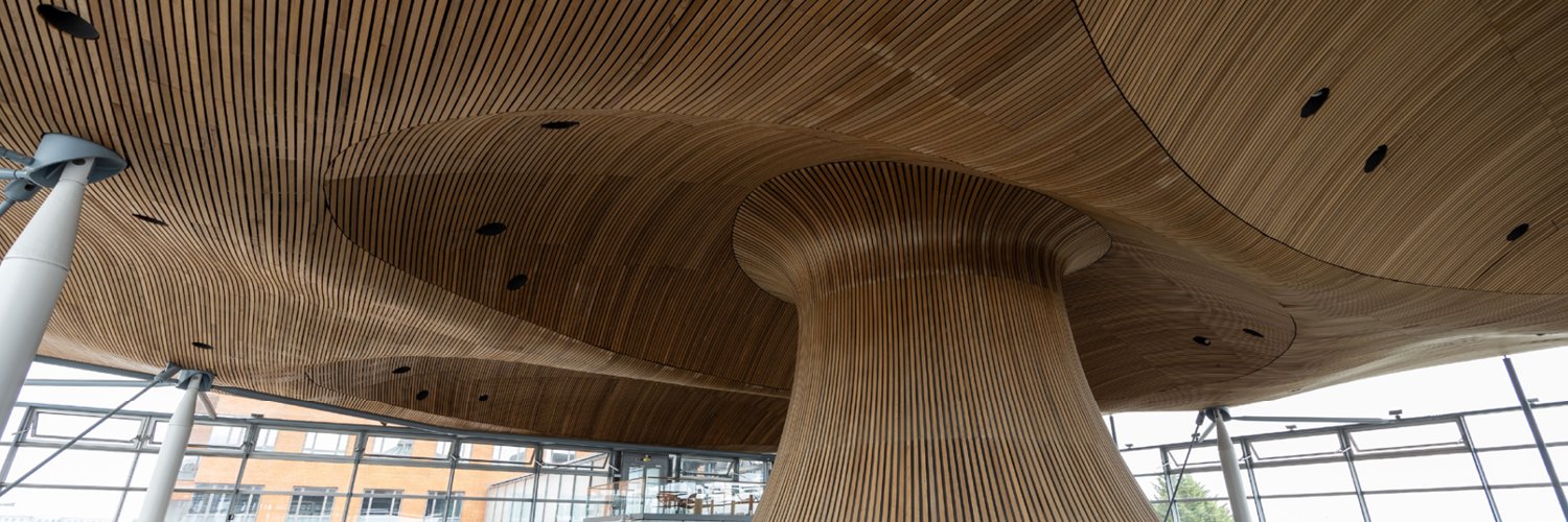 Senedd Research's banner