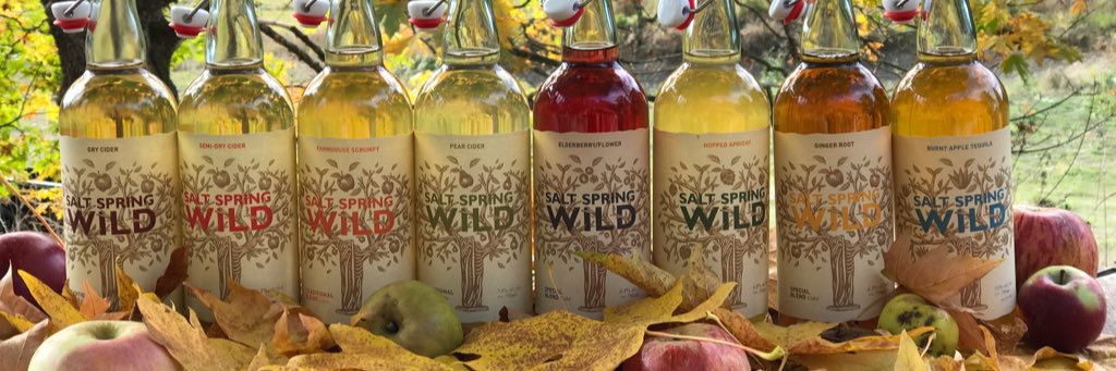 SS Wild Cider banner