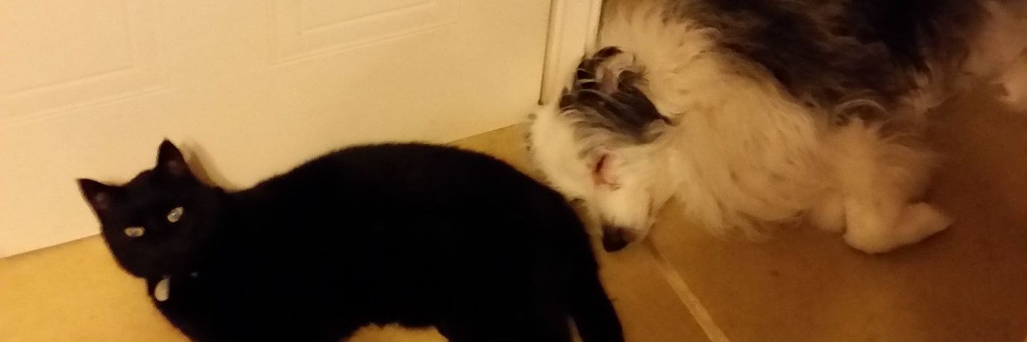 TammyMerlin's profile banner image