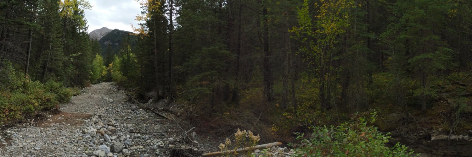 patlaporte's profile banner image