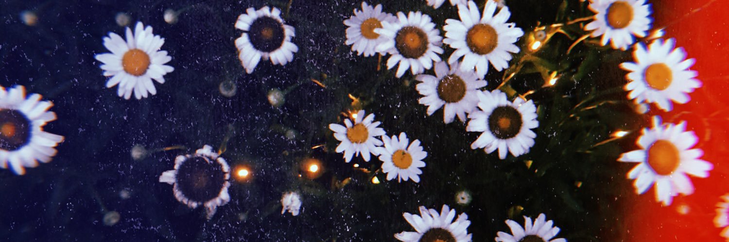 maddee_aaron's profile banner image
