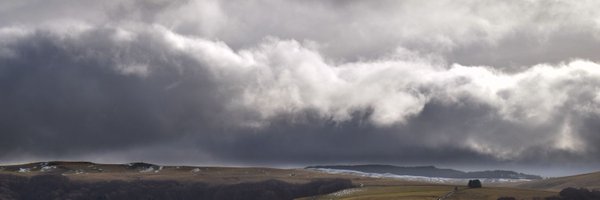 sylveba Profile Banner