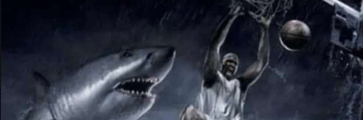 imdpond's profile banner image