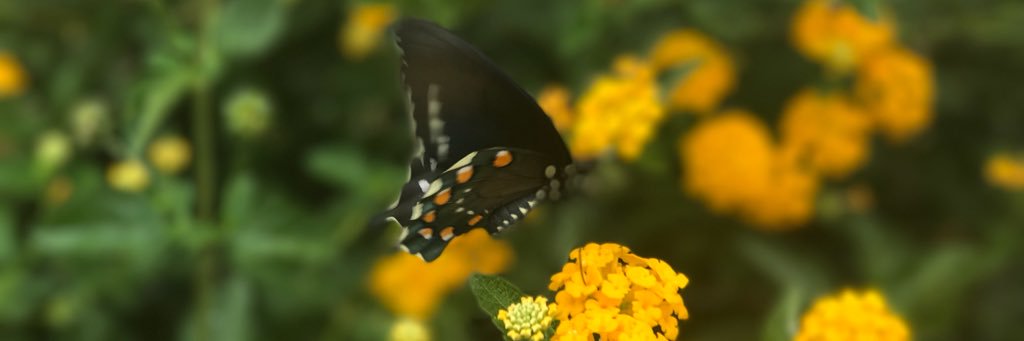 katwatson1031's profile banner image