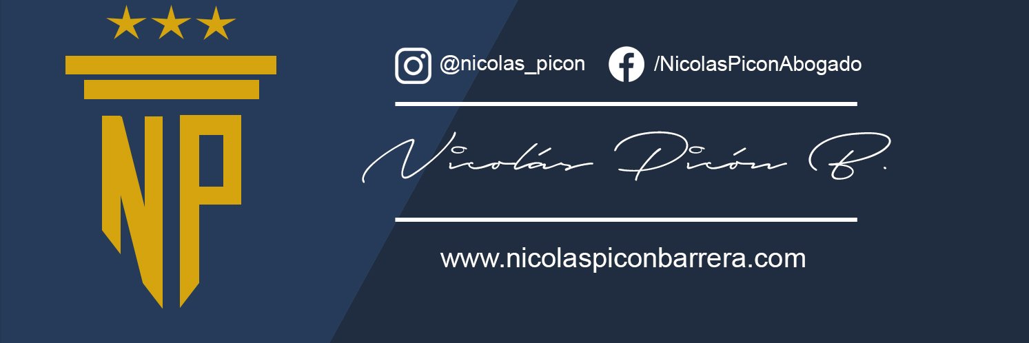 Nicolas Picon banner