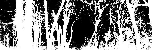 vukkax's profile banner image