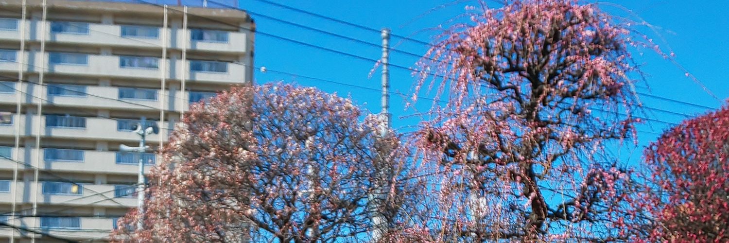 NameKeeper17's profile banner image