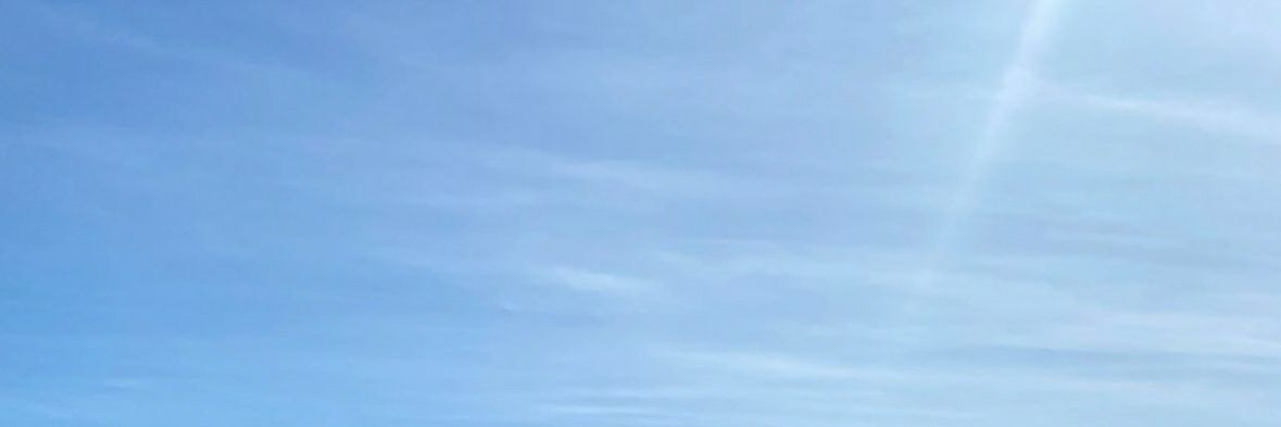 mariilnn's profile banner image