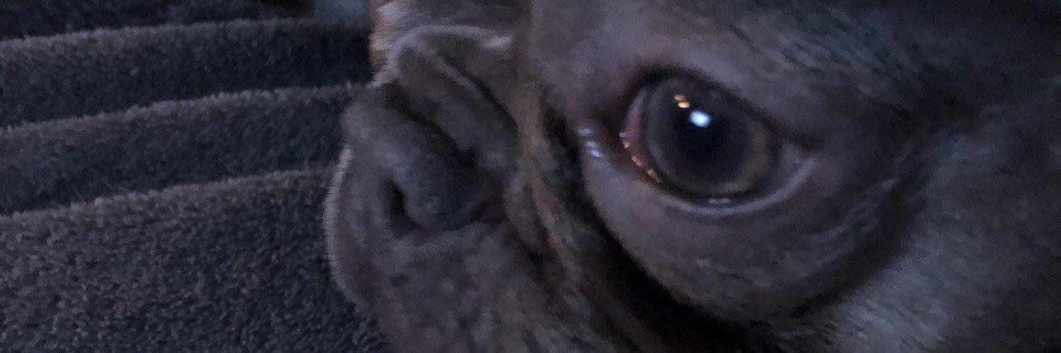 frankito1122's profile banner image