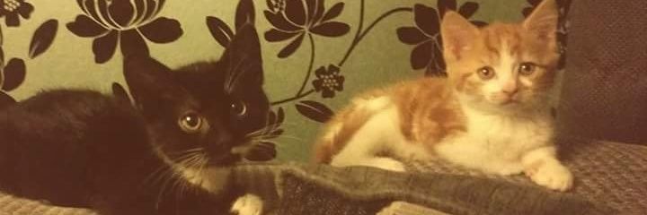 jaynebatesx's profile banner image