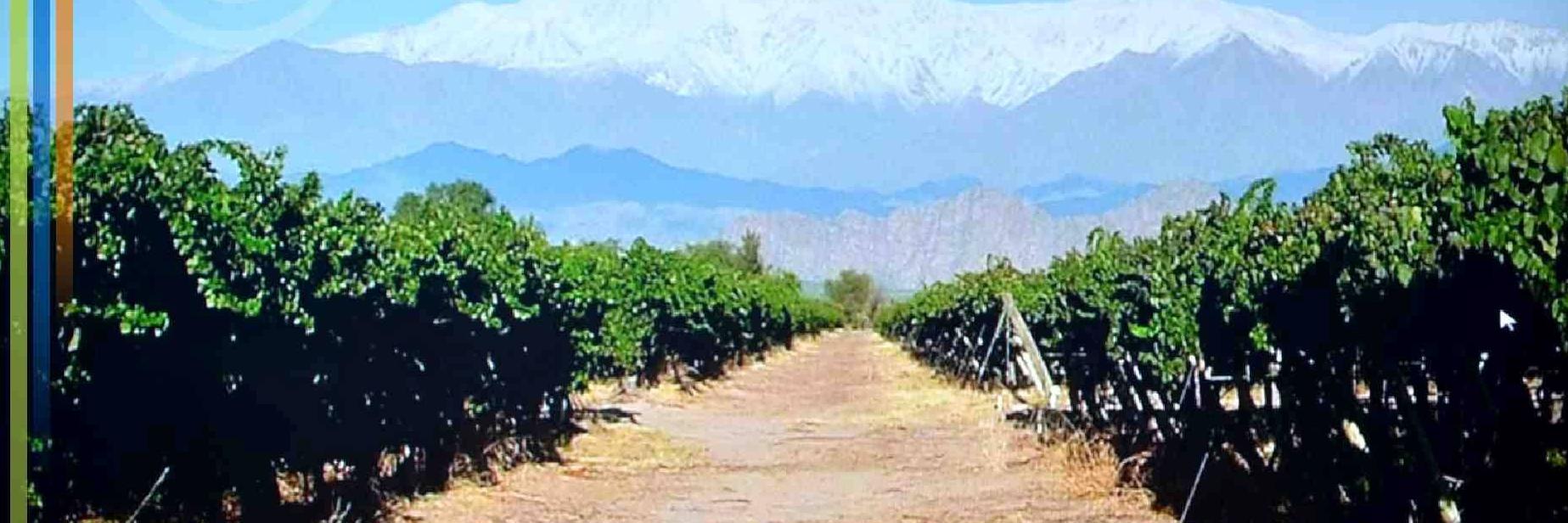 FmFrontera977's profile banner image