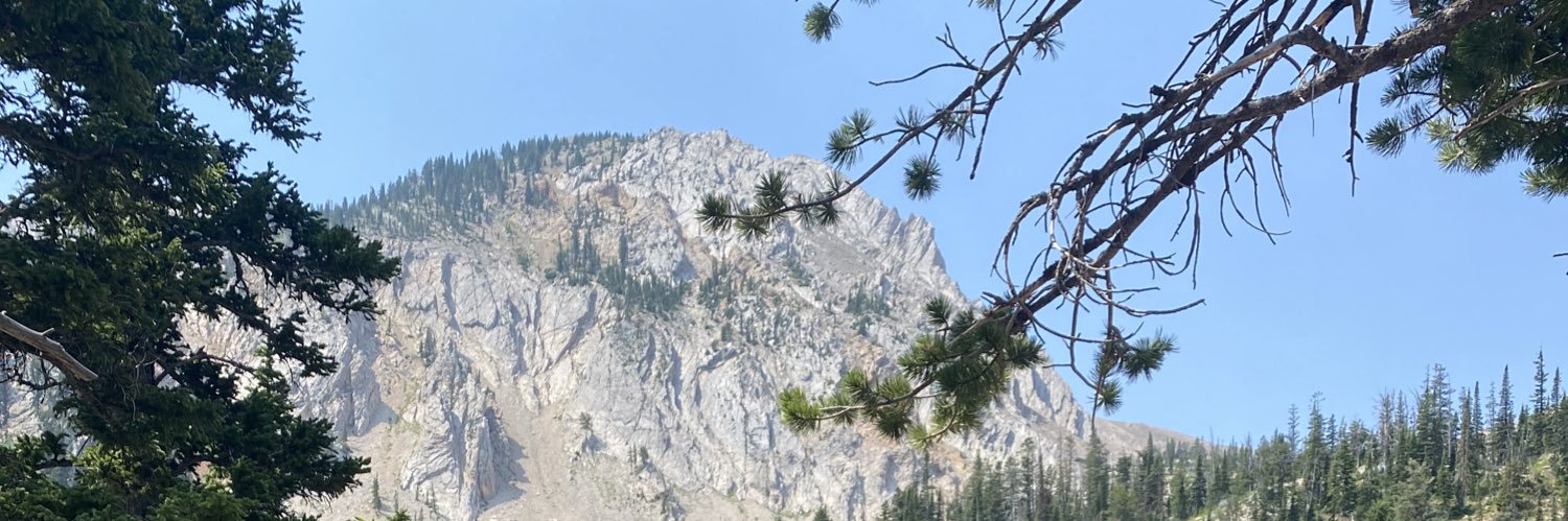 Julishafitz's profile banner image