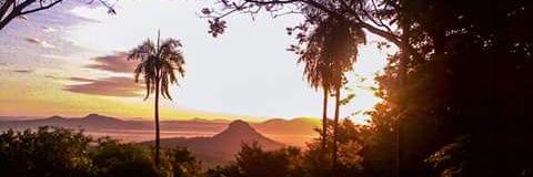 Celso banner