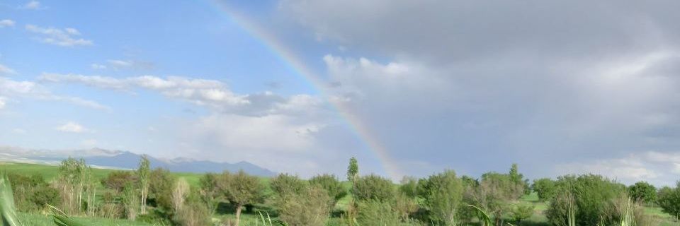 Arezoo808's profile banner image