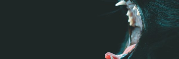 iammatthewsweet Profile Banner