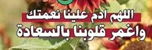 mohammednatto21's profile banner image