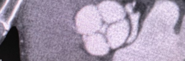 juleusz Profile Banner