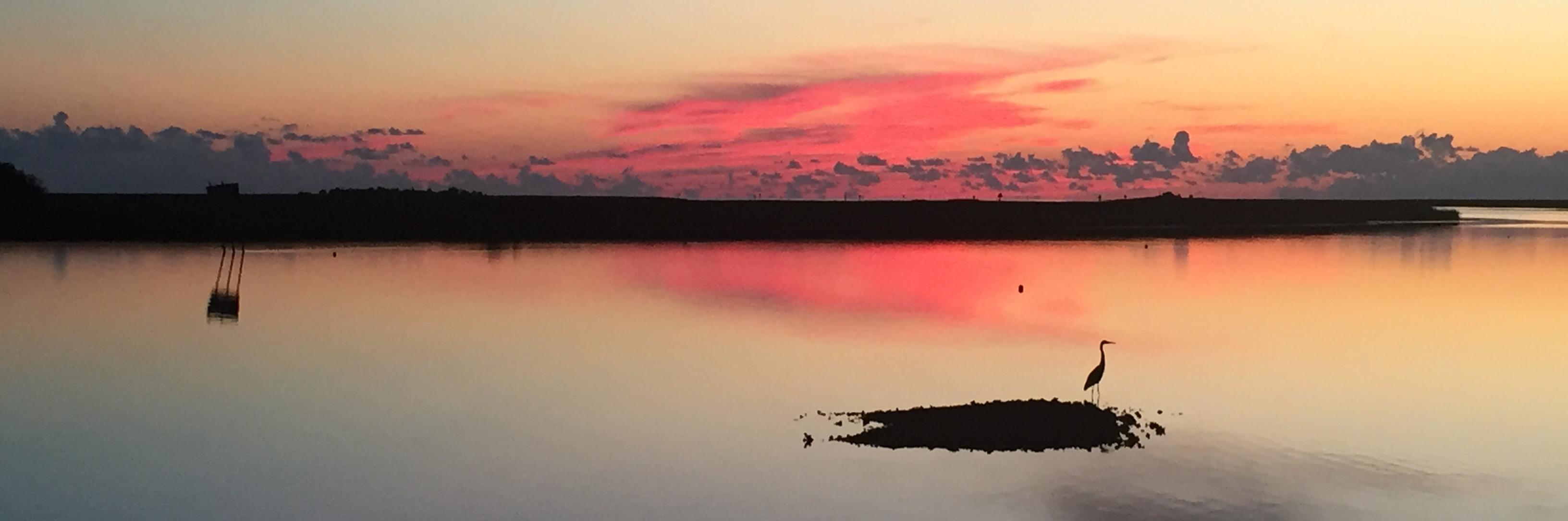 roysteinhatchee's profile banner image
