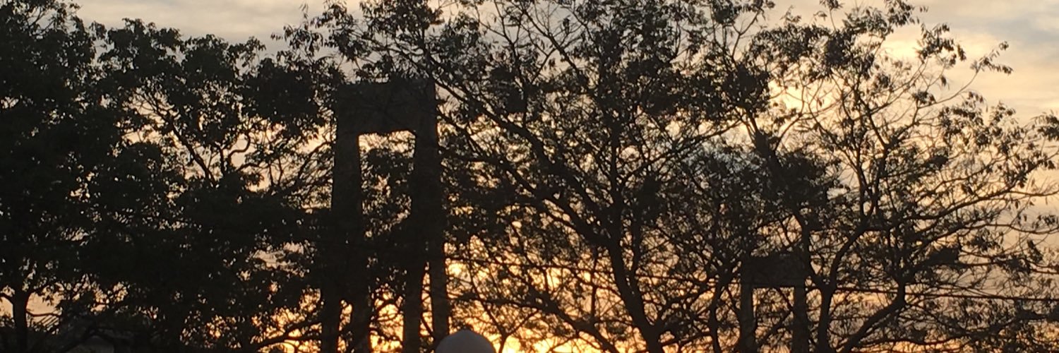 chinitasister's profile banner image