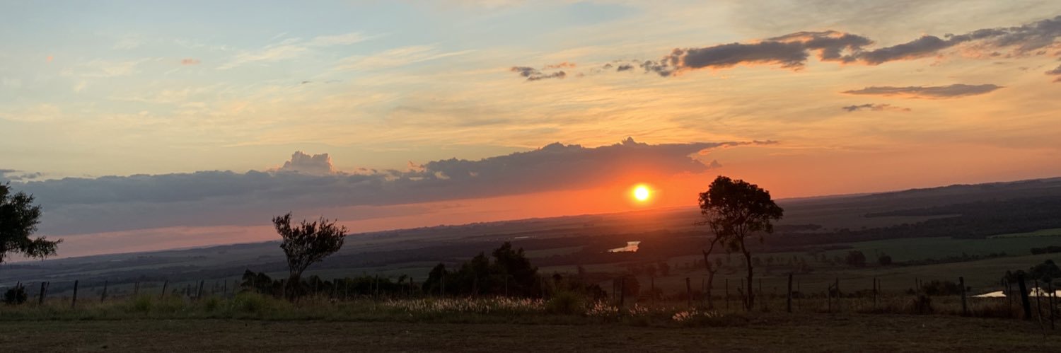 LPazatto's profile banner image
