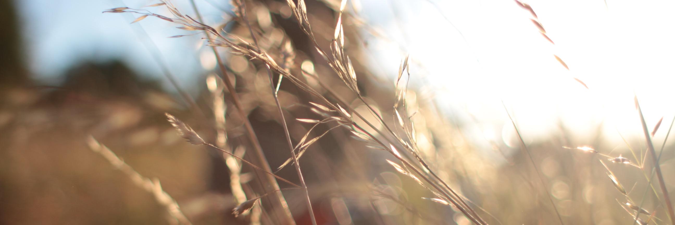 weidner_robin's profile banner image