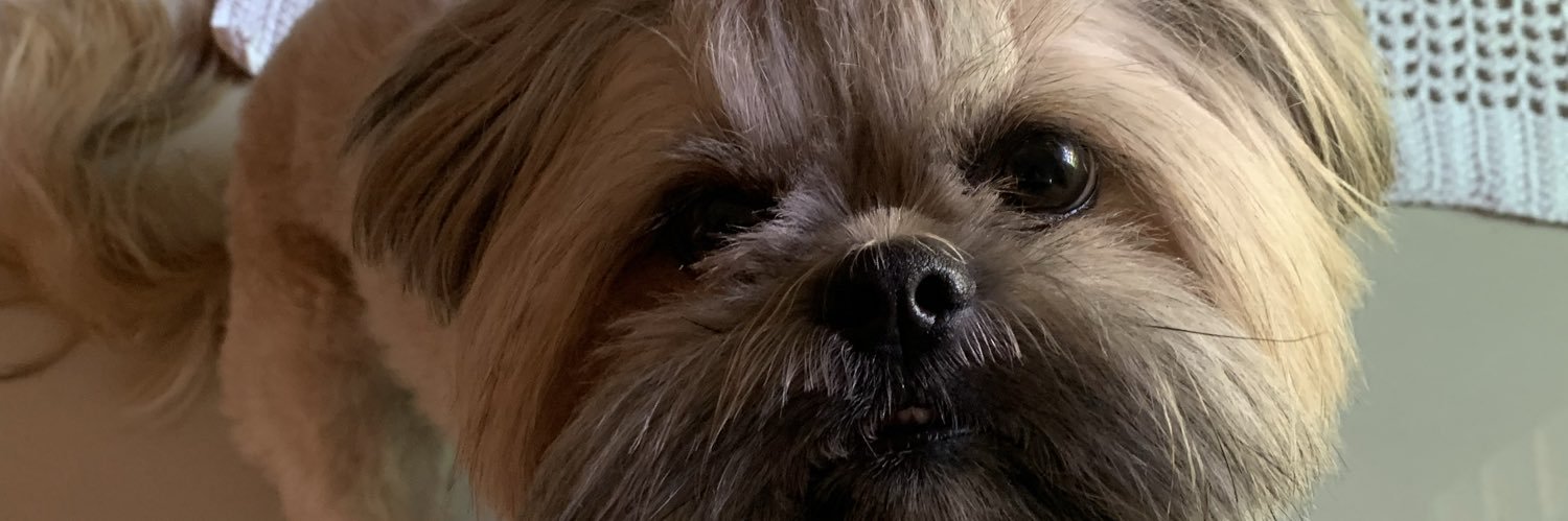 rxvitale's profile banner image