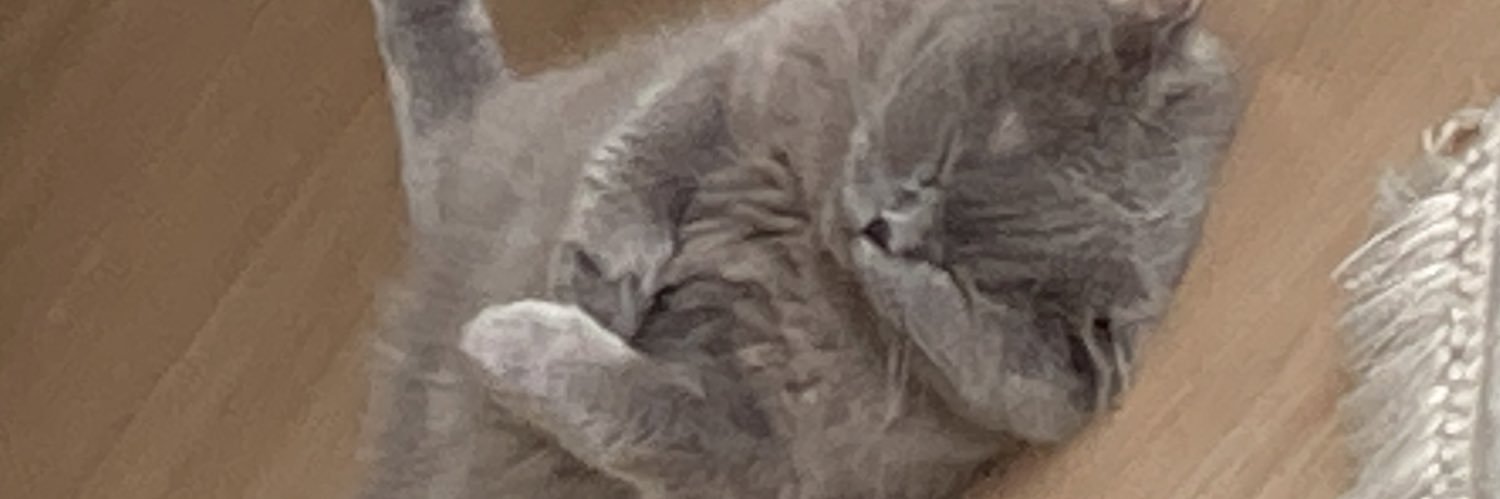 dunyahiret's profile banner image