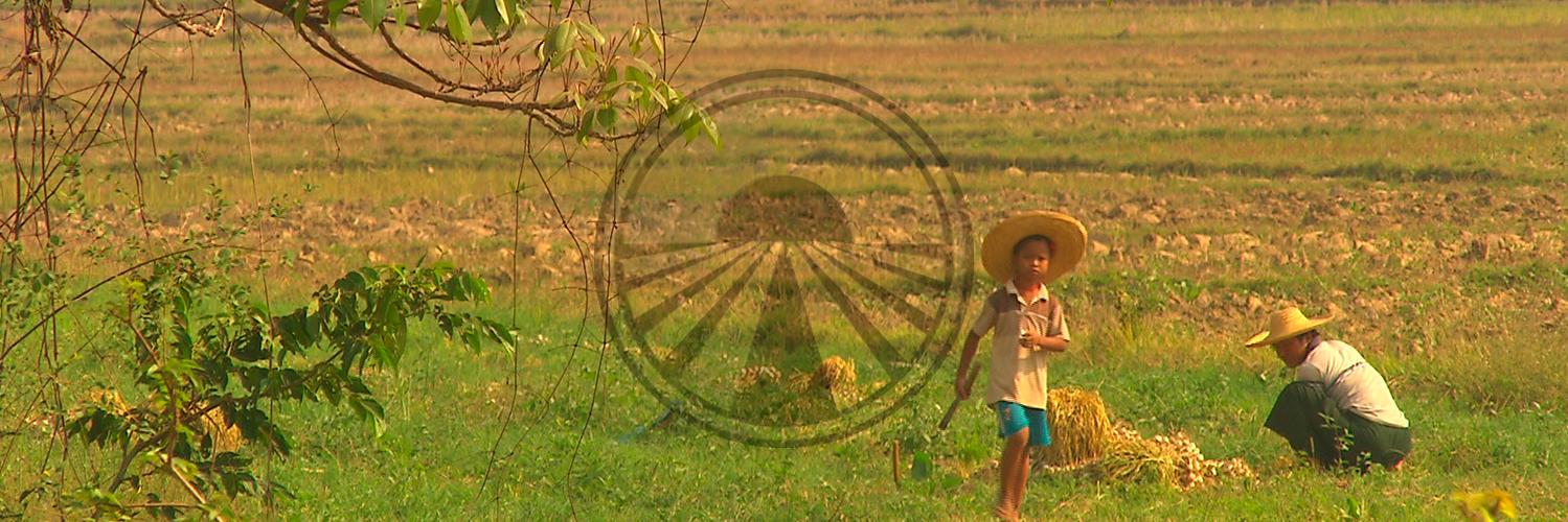 CharoPExpress's profile banner image