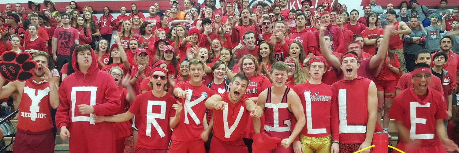 Yorkville Rowdies banner