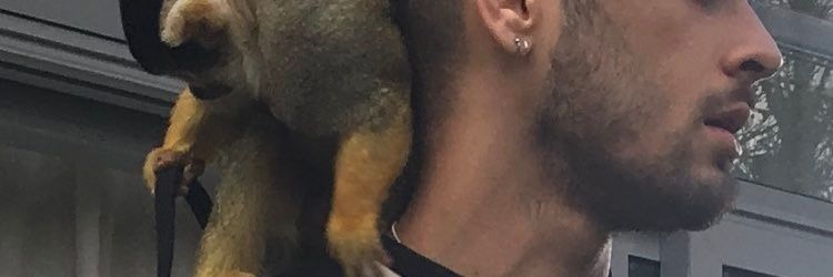 wrong_name_2's profile banner image