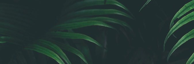 igreggraham's profile banner image
