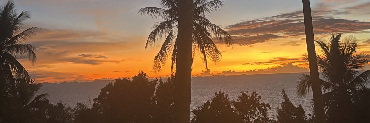 ines_amt's profile banner image