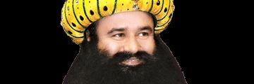 dalipsi70016288's profile banner image