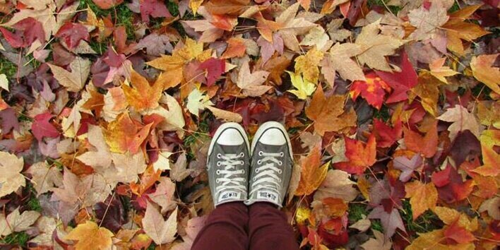 lady__cross's profile banner image